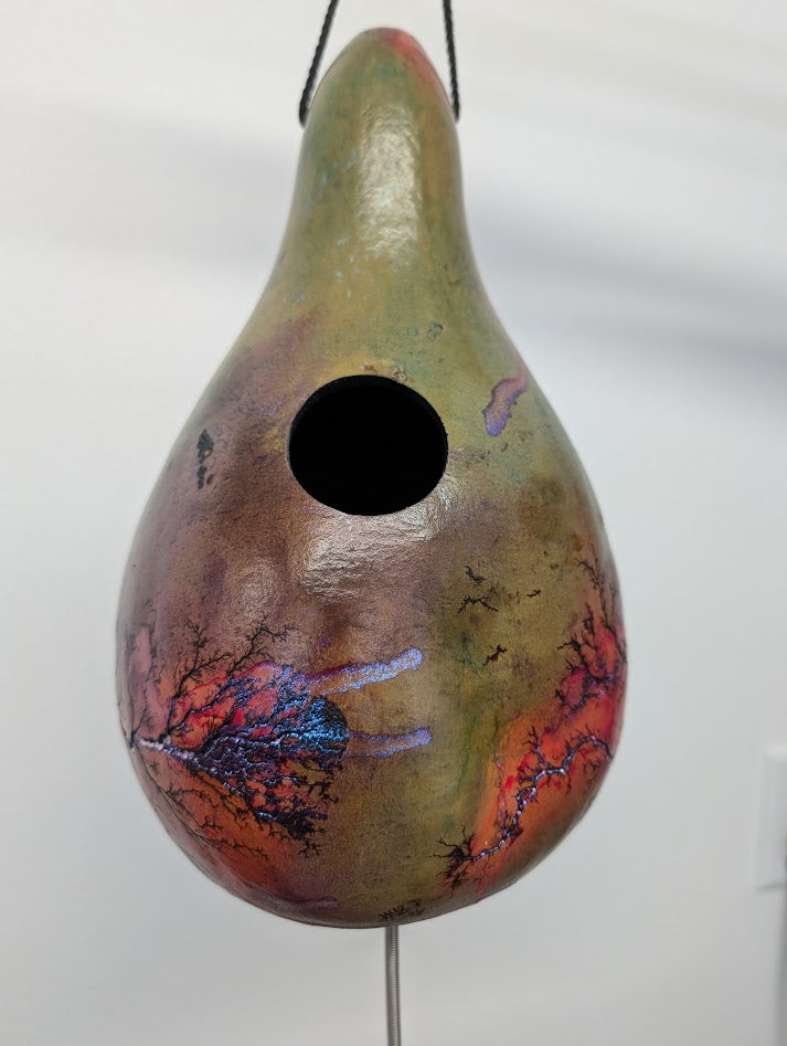 Medium Purple Opal Fractal Burned Thunder Gourd #1