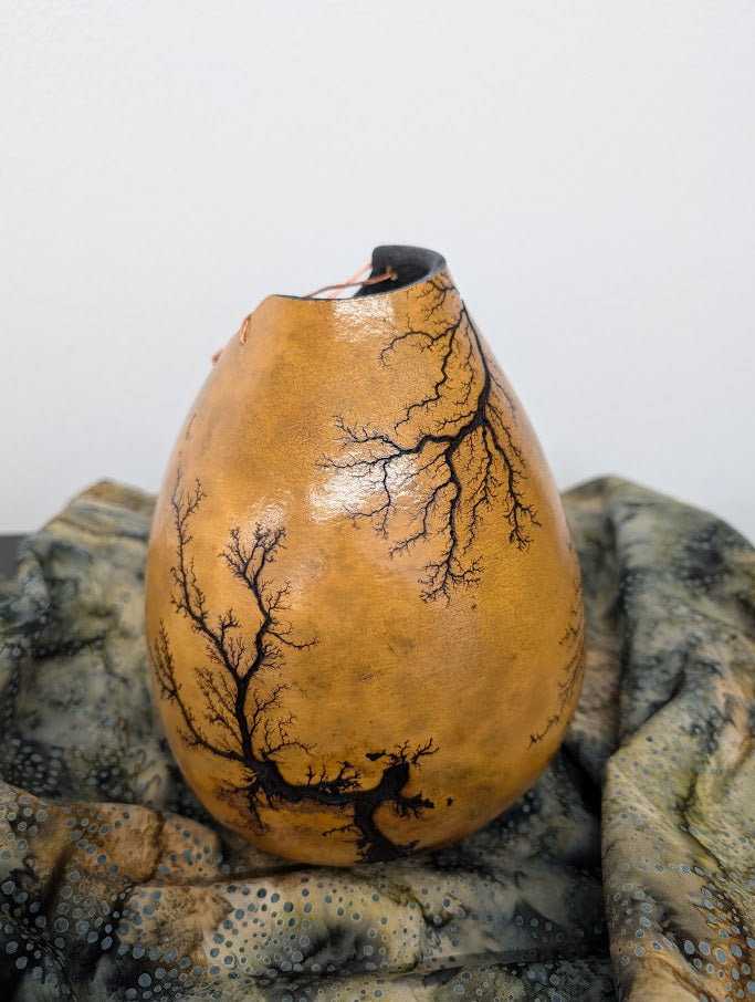 Natural Fractal Burned Gourd Wire Vase #1