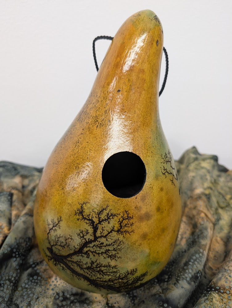 Large Green and Yellow Fractal Burned Thunder Gourd #10