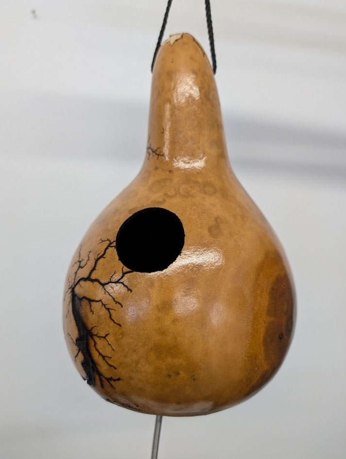 Small Natural Fractal Burned Thunder Gourd #10