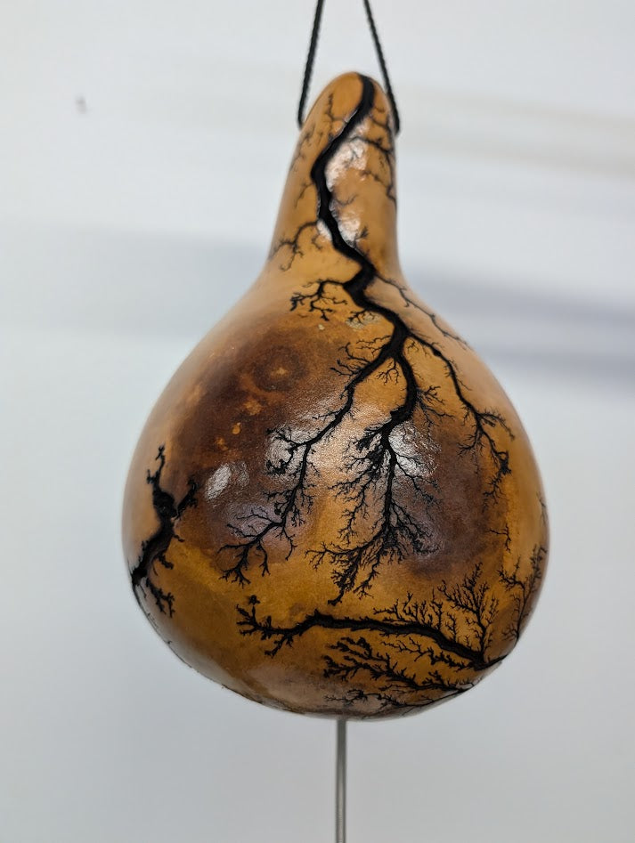 Small Natural Fractal Burned Thunder Gourd #10