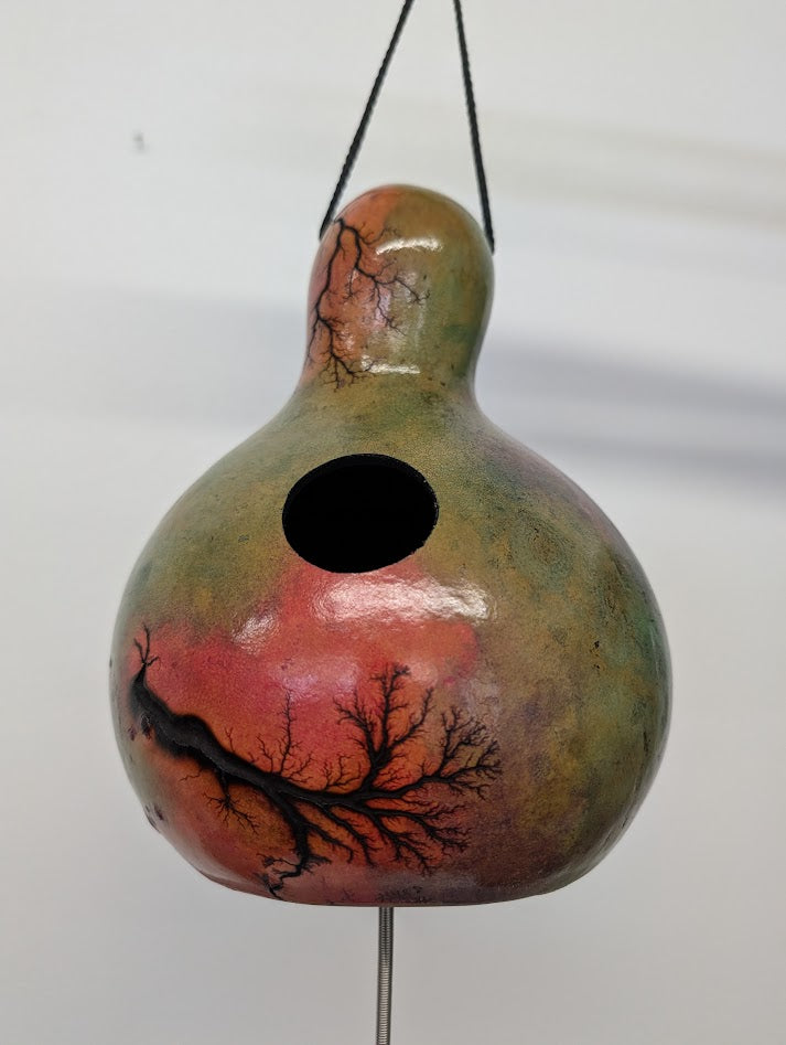 Small Magenta Fractal Burned Thunder Gourd #11
