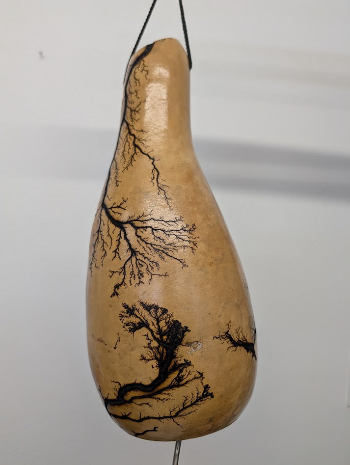Medium Natural Fractal Burned Thunder Gourd #11