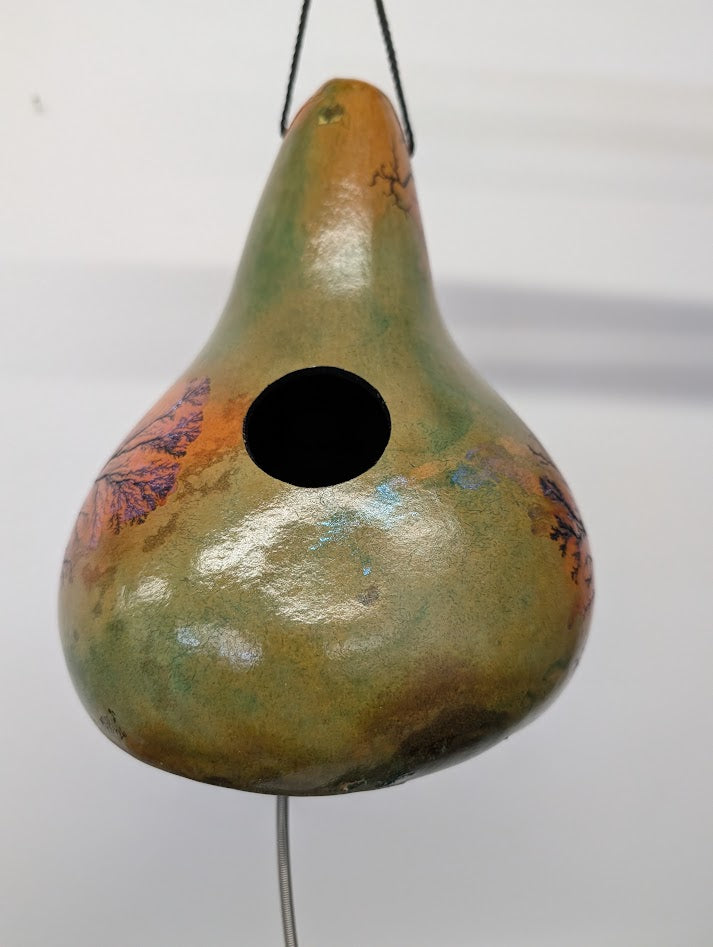 Medium Sunset Opal Fractal Burned Thunder Gourd #17