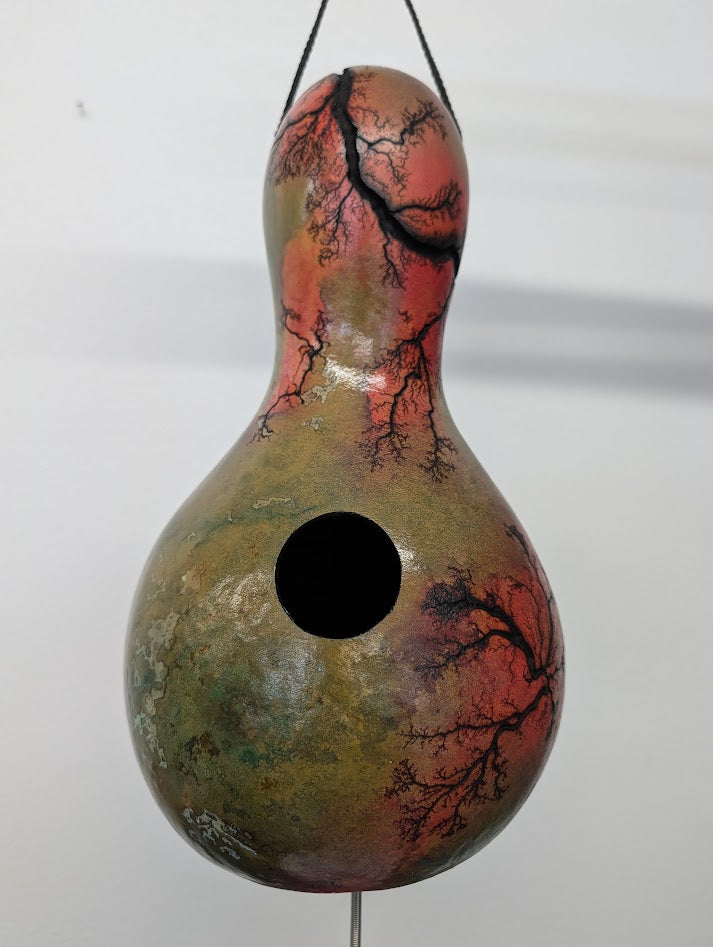 Medium Purple Fractal Burned Thunder Gourd #18