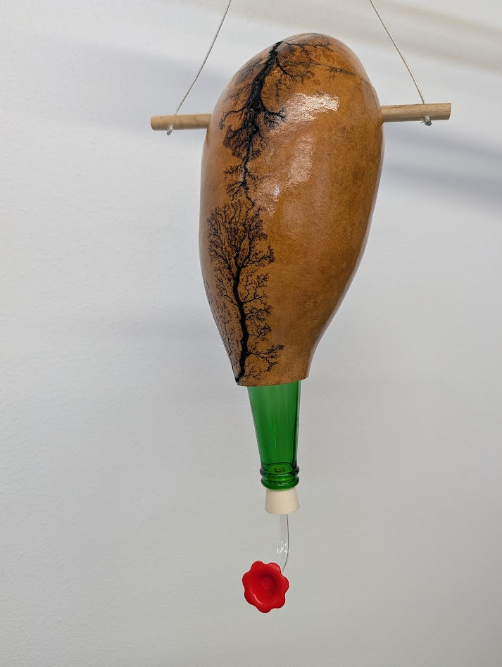 Gourd Humming Bird Feeder Fractal Burned #1