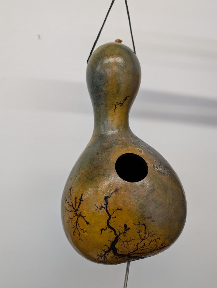Medium Green and Yellow Fractal Burned Thunder Gourd #2