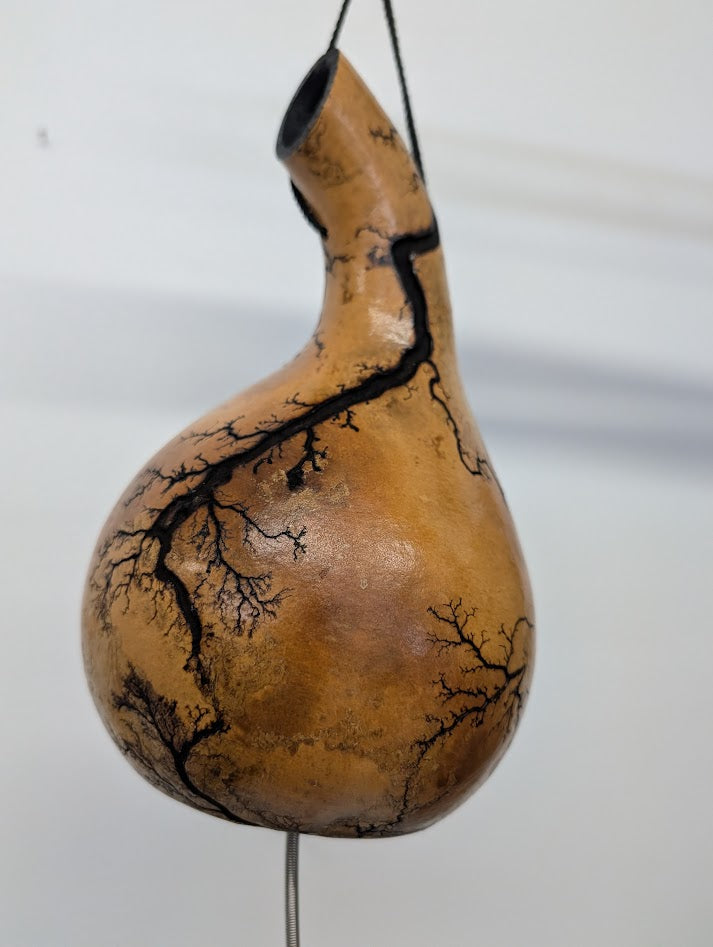 Small Natural Fractal Burned Thunder Gourd #2