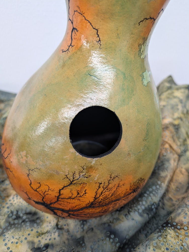 Large Sunset Fractal Burned Thunder Gourd #3