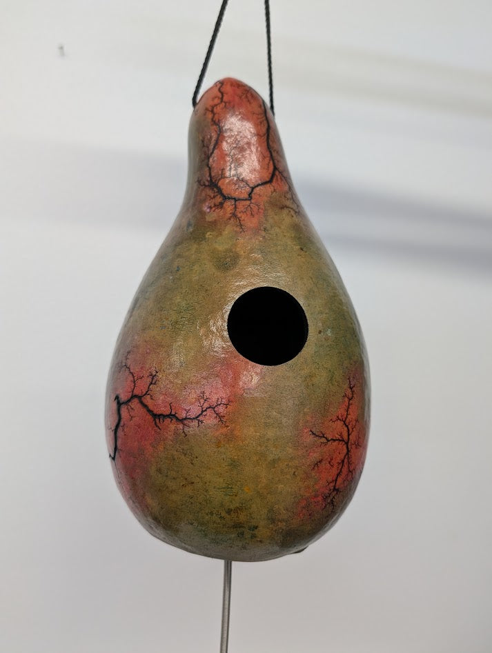 Small Magenta Fractal Burned Thunder Gourd #3