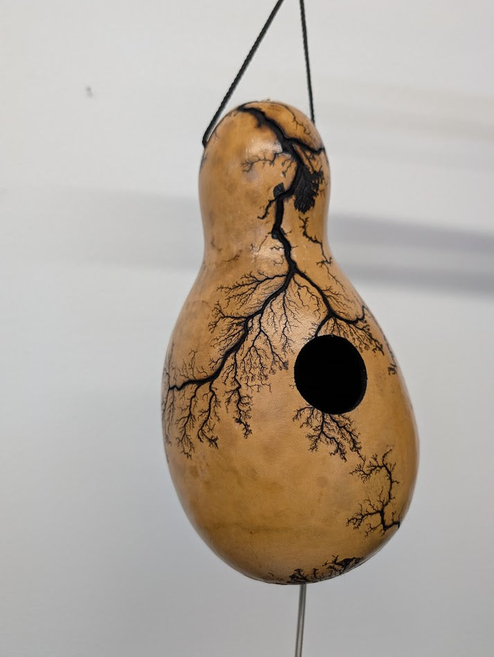 Medium Natural Fractal Burned Thunder Gourd #3
