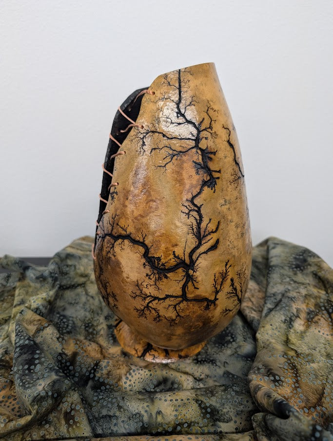 Natural Fractal Burned Gourd Wire Vase #3