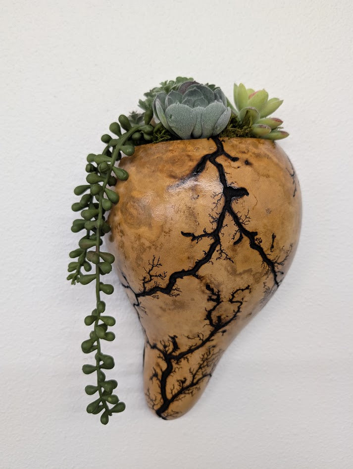 Natural Wall Hanging Sconce Gourd #3