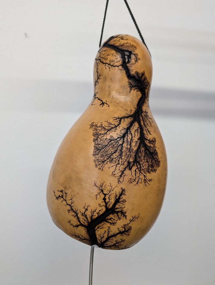 Medium Natural Fractal Burned Thunder Gourd #3