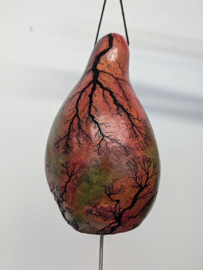 Small Magenta Fractal Burned Thunder Gourd #3