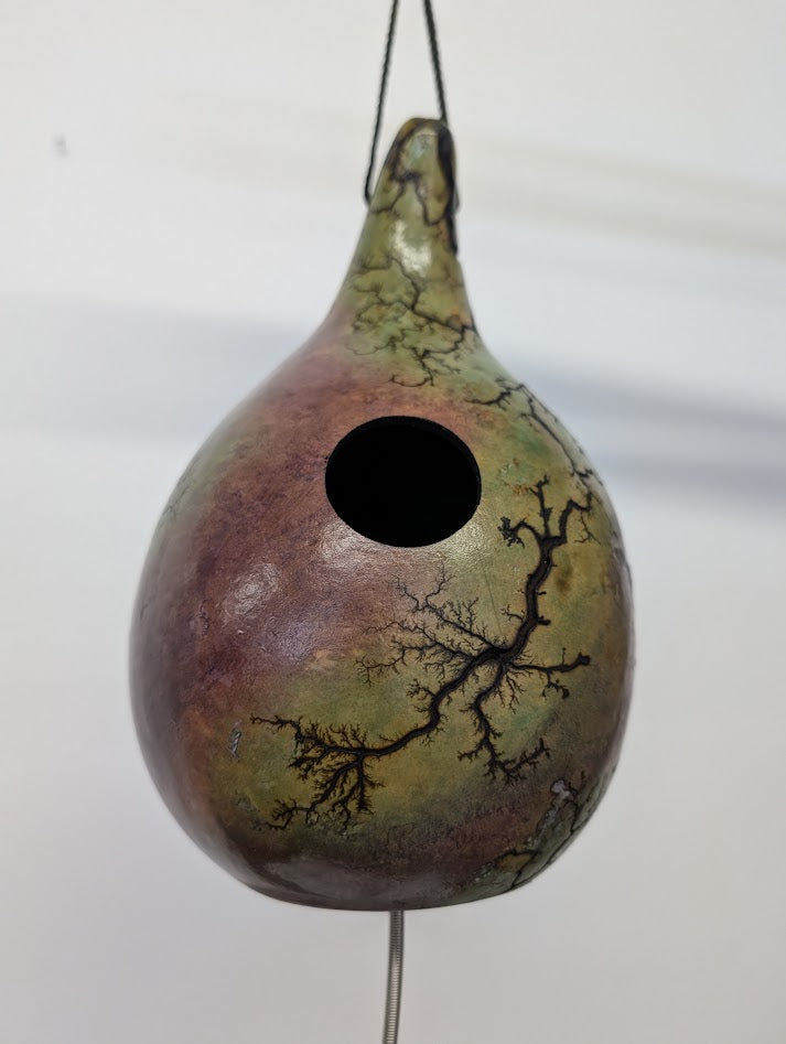 Small Purple and Green Fractal Burned Thunder Gourd #4