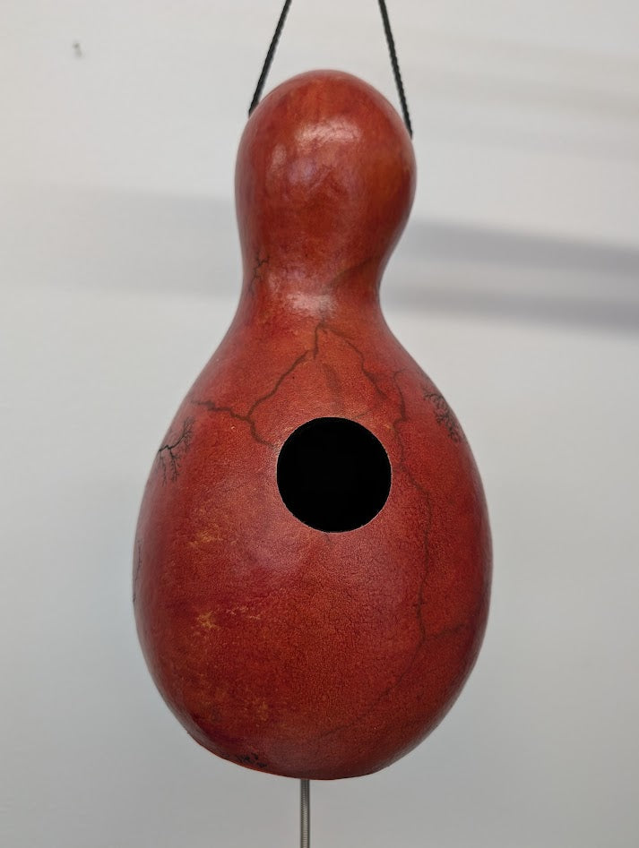 Medium Red Fractal Burned Thunder Gourd #4