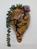 Natural Wall Hanging Sconce Gourd #4