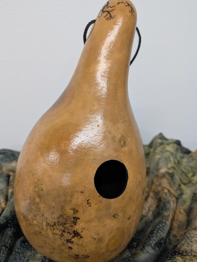 Large Natural Fractal Burned Thunder Gourd #5