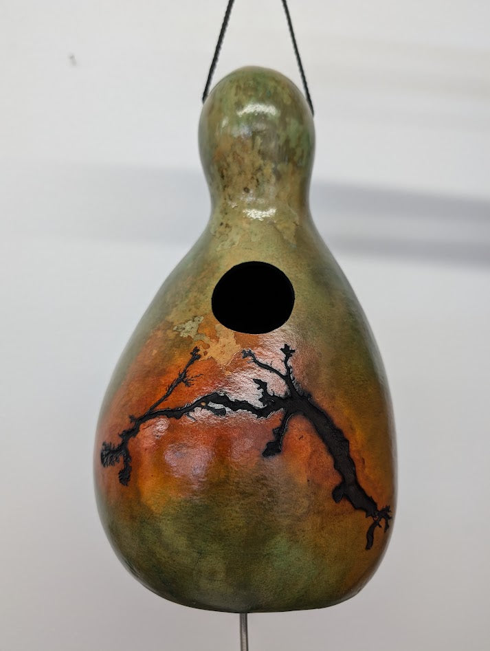Medium Sunset Fractal Burned Thunder Gourd #5