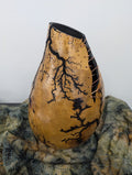 Natural Fractal Burned Gourd Wire Vase #5