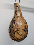 Large Natural Fractal Burned Thunder Gourd #5