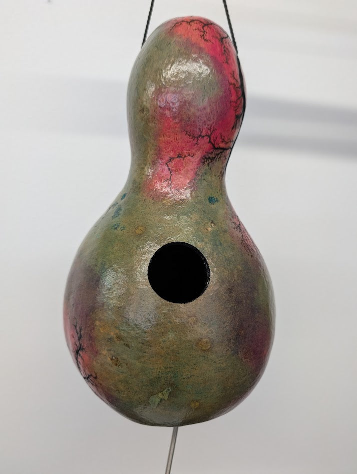 Medium Purple Fractal Burned Thunder Gourd #6