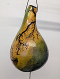 Medium Green and Yellow Fractal Burned Thunder Gourd #7