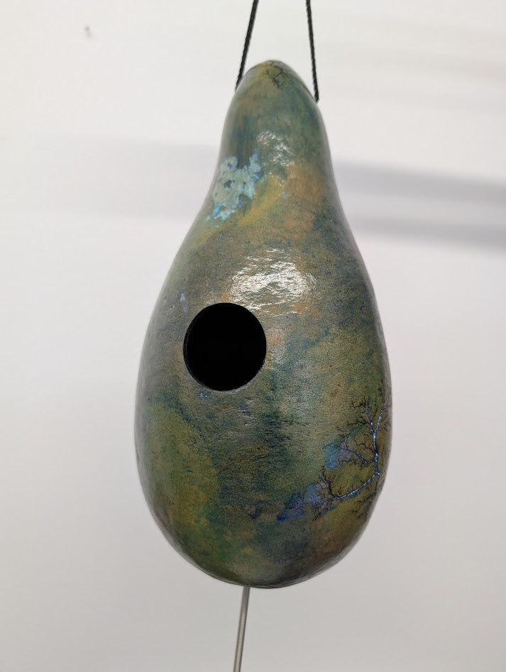 Medium Turquoise Fractal Burned Thunder Gourd #8