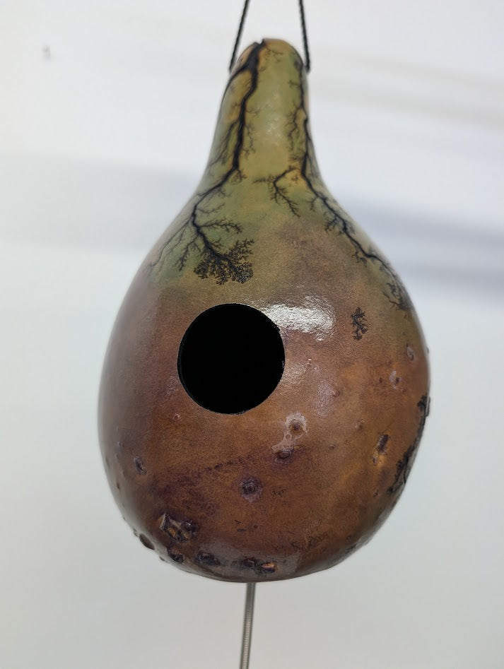Small Purple and Green Fractal Burned Thunder Gourd #9
