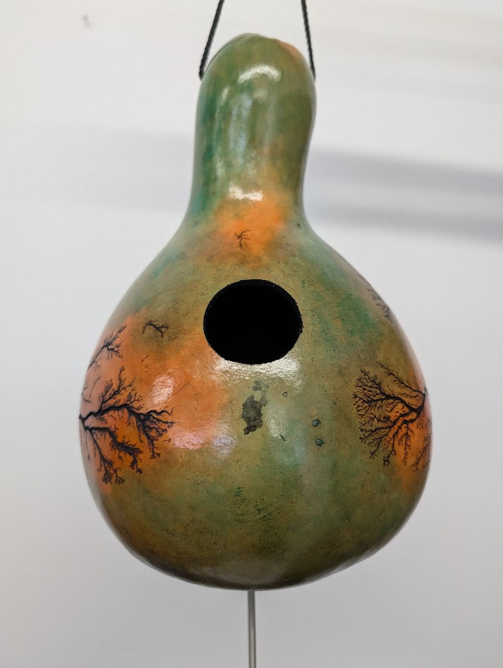 Medium Sunset Fractal Burned Thunder Gourd #9
